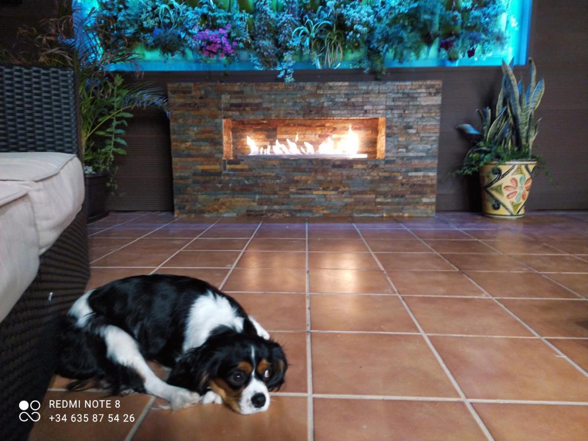 3 Bdr House Near La Zenia Private Lounge Terraces, Fire Places, Bbq, Kitchen, Parking オリウエラ エクステリア 写真